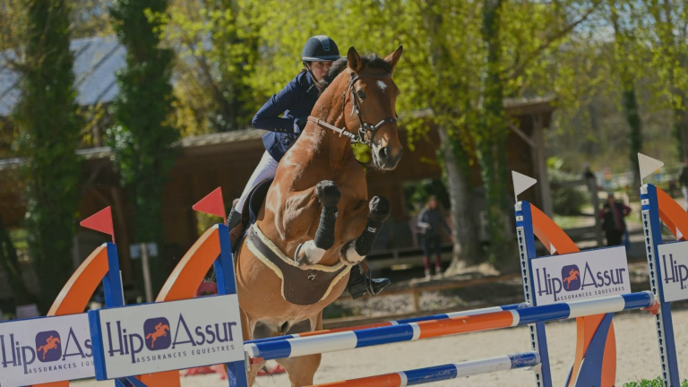 Coaching et concours