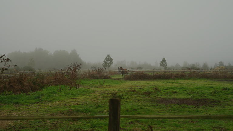 Le pré et l'hiver