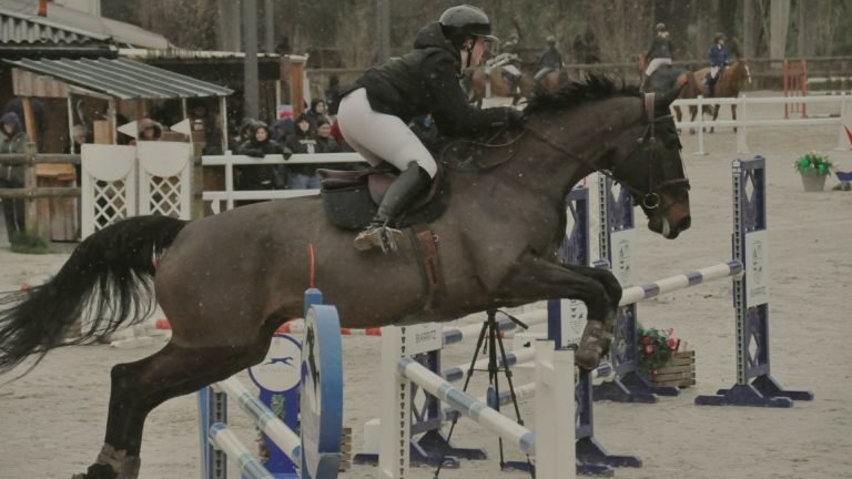 Concours de saut d'obstacles