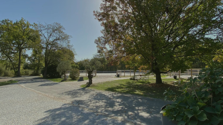 La vue de l'écurie Baptiste Caillet